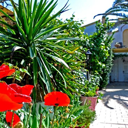 Villa Elena Studios Dassia  Luaran gambar